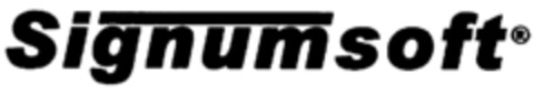 Signumsoft Logo (IGE, 02.12.2003)