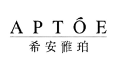 APTOE Logo (IGE, 26.05.2017)