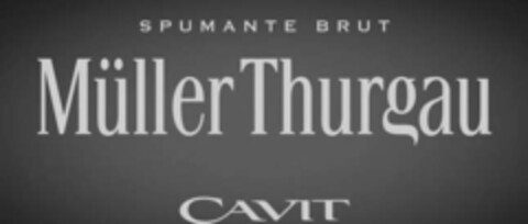 SPUMANTE BRUT Müller Thurgau CAVIT Logo (IGE, 11/17/2020)
