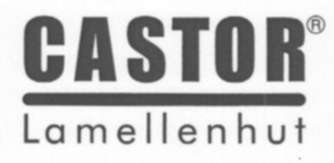 CASTOR Lamellenhut Logo (IGE, 11.05.2012)