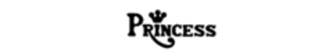 PRINCESS Logo (IGE, 12/01/1986)