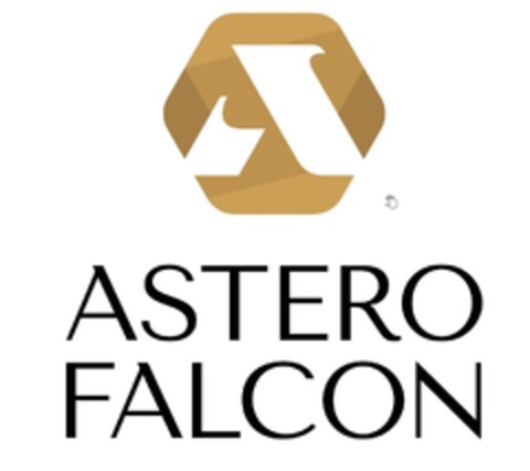 ASTERO FALCON Logo (IGE, 04.08.2023)