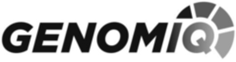 GENOMIQ Logo (IGE, 09.06.2010)
