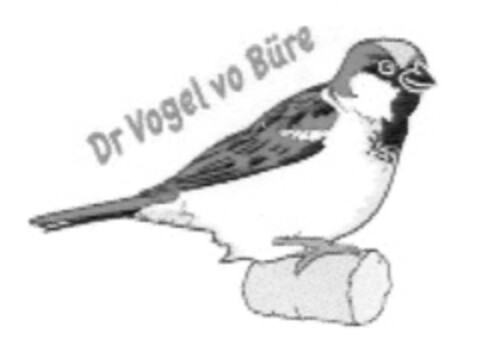 Dr Vogel vo Büre Logo (IGE, 06.01.2012)