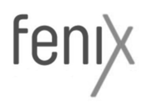 fenix Logo (IGE, 02/19/2019)