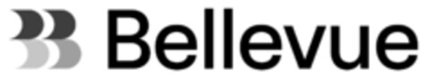 Bellevue Logo (IGE, 08.07.2021)