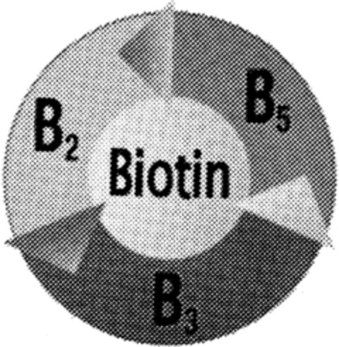 Biotin B2 B3 B5 Logo (IGE, 28.12.1998)