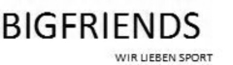 BIGFRIENDS WIR LIEBEN SPORT Logo (IGE, 06/07/2016)