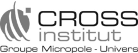 CROSS institut Groupe Micropole - Univers Logo (IGE, 03/12/2009)