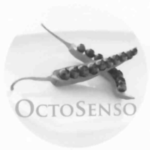 OCTOSENSO Logo (IGE, 22.10.2007)