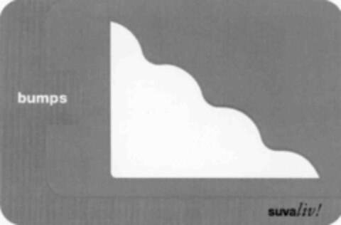 L bumps suvaliv! Logo (IGE, 27.01.2000)