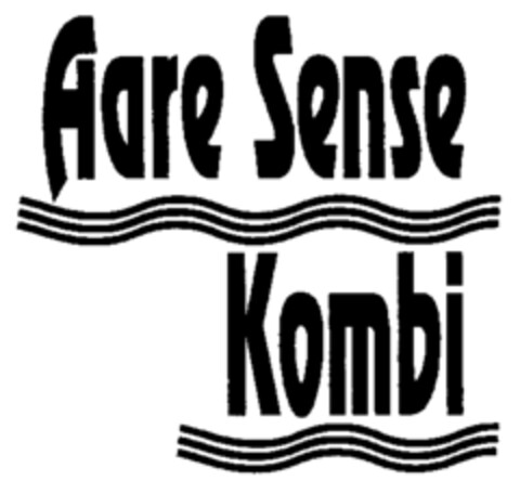 Aare Sense Kombi Logo (IGE, 23.12.1996)