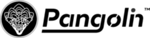 Pangolin Logo (IGE, 29.02.2016)
