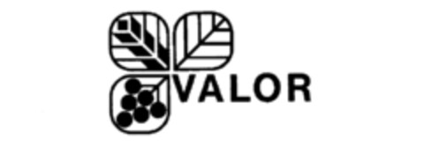VALOR Logo (IGE, 13.01.1986)