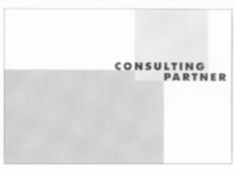 CONSULTING PARTNER Logo (IGE, 17.06.1999)