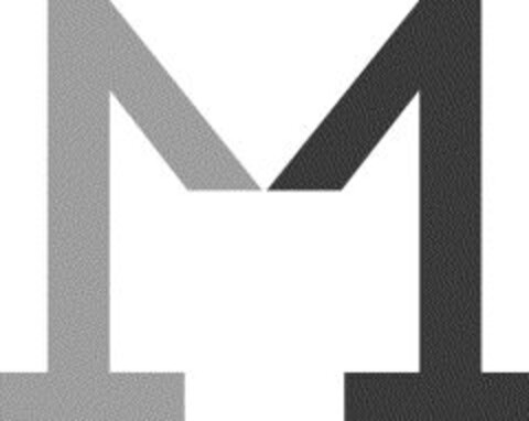 M Logo (IGE, 01/17/2017)