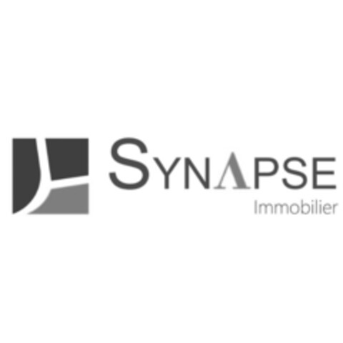 SYNAPSE Immobilier Logo (IGE, 07.04.2021)