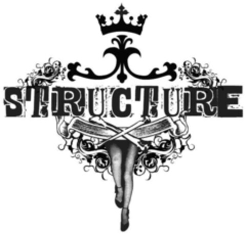 STRUCTURE Logo (IGE, 23.01.2013)