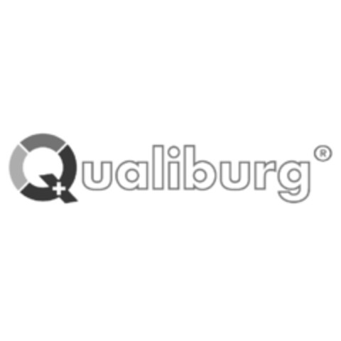 Qualiburg Logo (IGE, 19.07.2017)