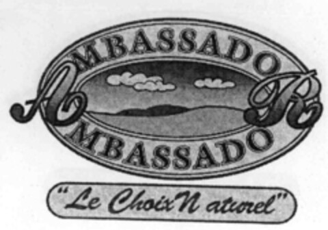 AMBASSADOR "Le Choix Naturel" Logo (IGE, 11.05.1999)