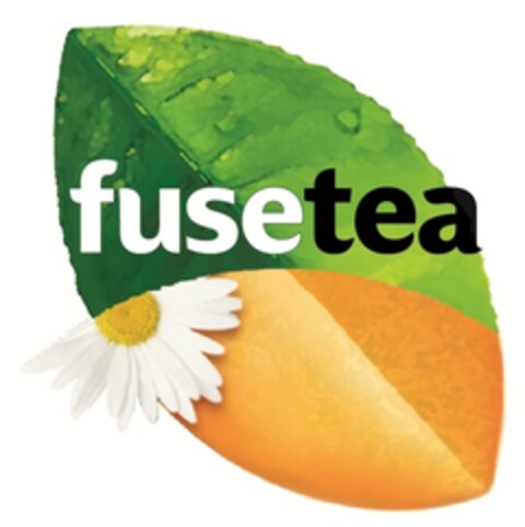 fusetea Logo (IGE, 15.06.2017)