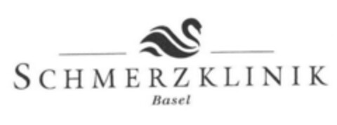 SCHMERZKLINIK Basel Logo (IGE, 21.08.2014)