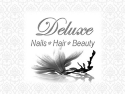 Deluxe Nails Hair Beauty Logo (IGE, 11/25/2015)