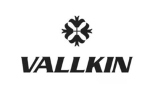 VALLKIN Logo (IGE, 06.07.2023)
