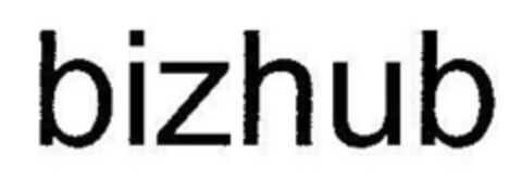 bizhub Logo (IGE, 10/29/2003)