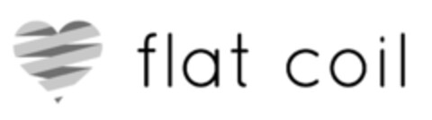 flat coil Logo (IGE, 01/19/2015)