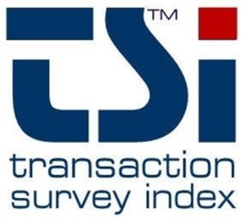 tsi transaction survey index Logo (IGE, 09.03.2005)