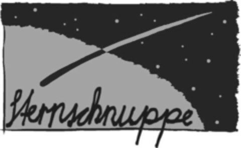 Sternschnuppe Logo (IGE, 10.05.2005)