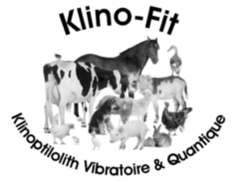 Klino-Fit Klinoptilolith vibratoire & Quantique Logo (IGE, 07/26/2014)