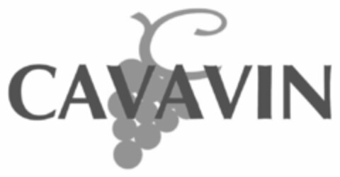 CAVAVIN Logo (IGE, 20.02.2018)