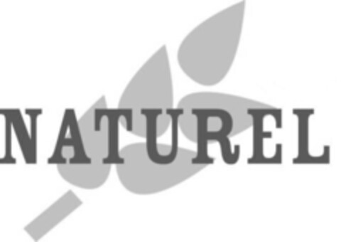 NATUREL Logo (IGE, 16.09.2009)