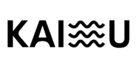 KAISU Logo (IGE, 18.10.2023)
