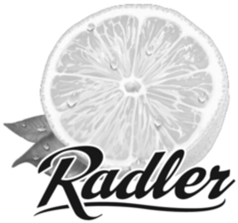 Radler Logo (IGE, 05.07.2012)