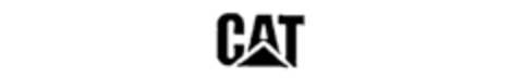 CAT Logo (IGE, 03.04.1991)