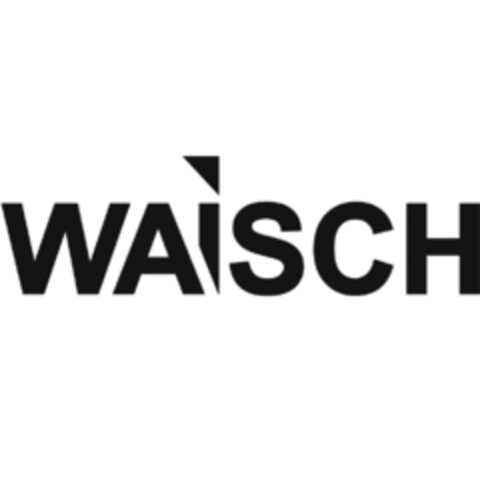 WAiSCH Logo (IGE, 11.09.2017)