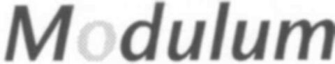 Modulum Logo (IGE, 06.05.2003)