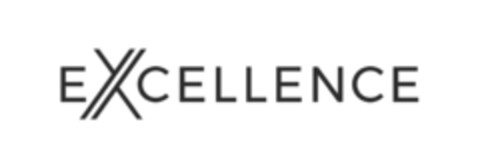 EXCELLENCE Logo (IGE, 21.04.2020)