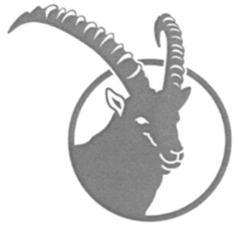  Logo (IGE, 29.06.2006)