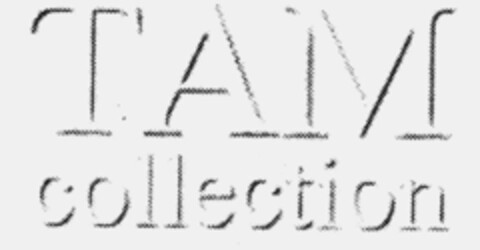 TAM collection Logo (IGE, 25.04.1997)