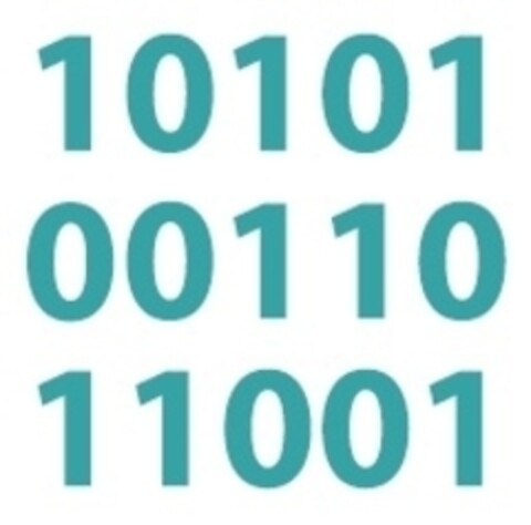 10101 00110 11001 Logo (IGE, 04/11/2013)