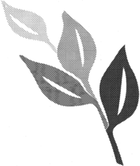  Logo (IGE, 12.12.1997)