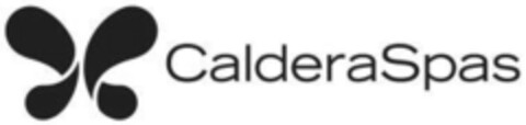 CalderaSpas Logo (IGE, 18.09.2013)