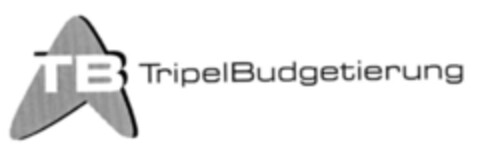 TB TripelBudgetierung Logo (IGE, 01.10.2003)