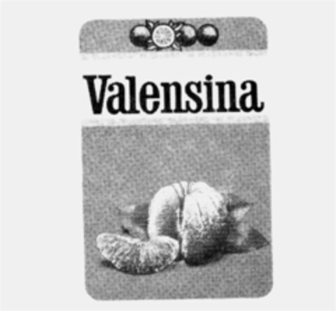Valensina Logo (IGE, 11/22/1984)