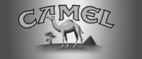 CAMEL Logo (IGE, 21.04.2015)