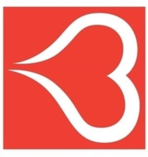 B Logo (IGE, 29.06.2010)